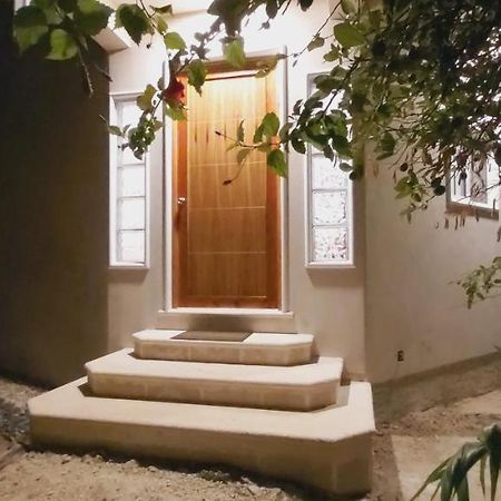 New! Casa Xola Cenote And Fauna Loft Cozumel Buitenkant foto
