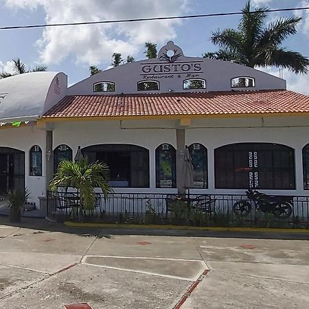 New! Casa Xola Cenote And Fauna Loft Cozumel Buitenkant foto