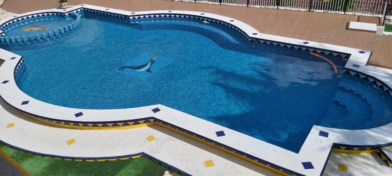 New! Casa Xola Cenote And Fauna Loft Cozumel Buitenkant foto
