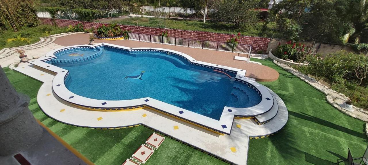 New! Casa Xola Cenote And Fauna Loft Cozumel Buitenkant foto