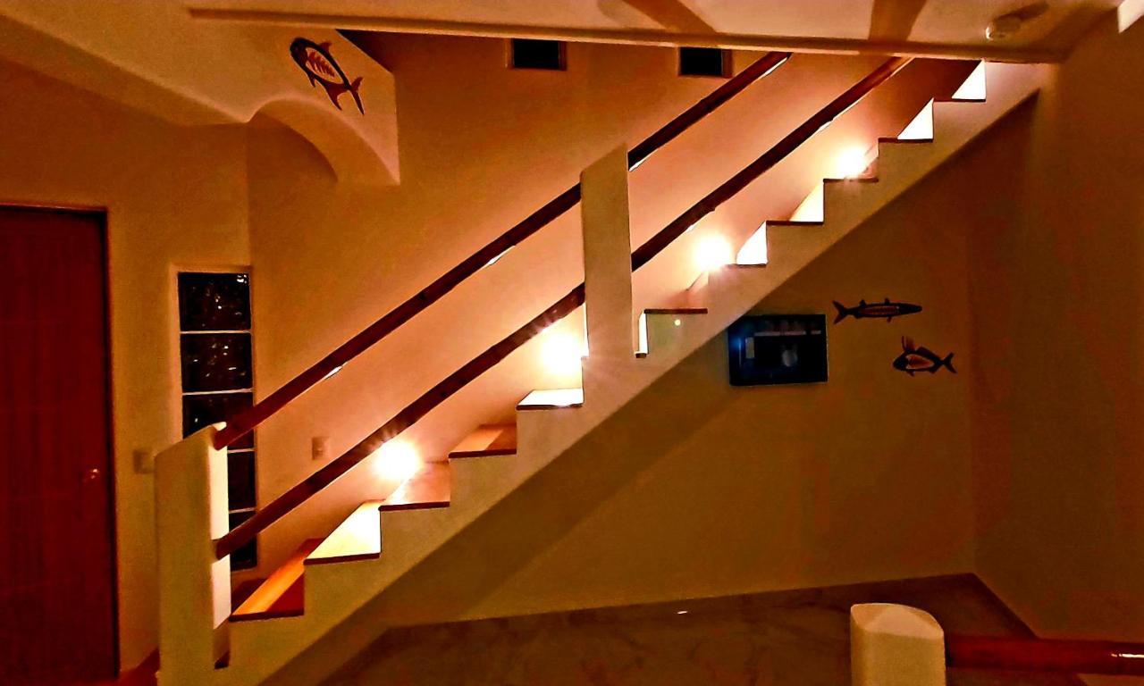New! Casa Xola Cenote And Fauna Loft Cozumel Buitenkant foto