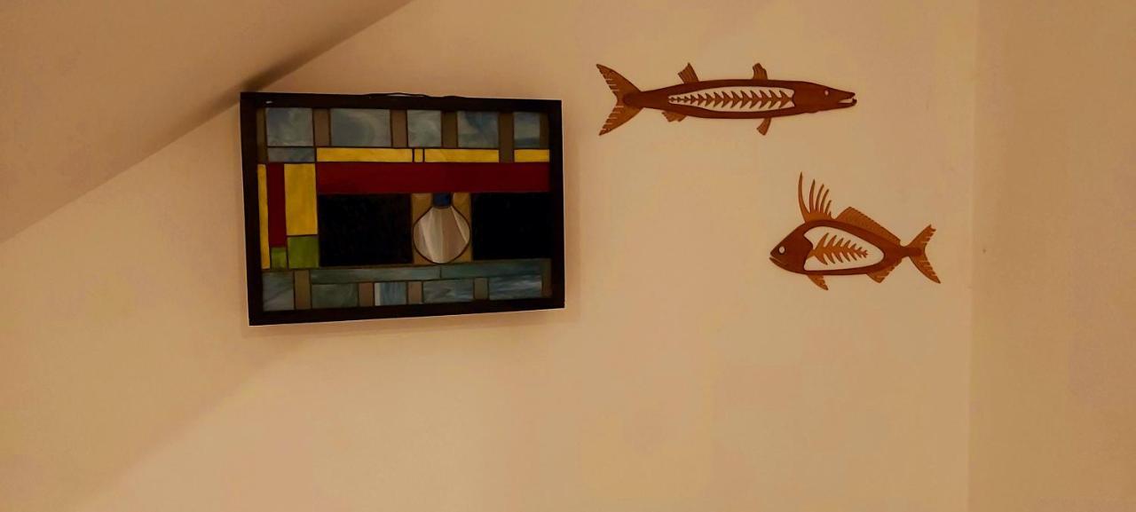 New! Casa Xola Cenote And Fauna Loft Cozumel Buitenkant foto