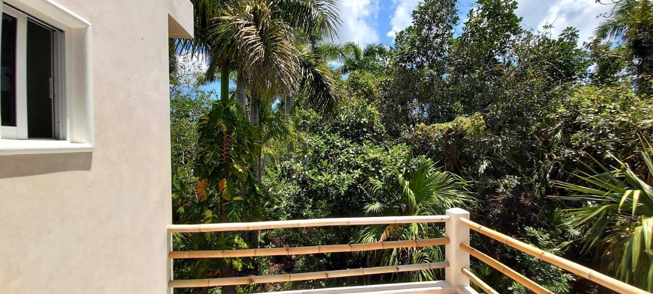 New! Casa Xola Cenote And Fauna Loft Cozumel Buitenkant foto
