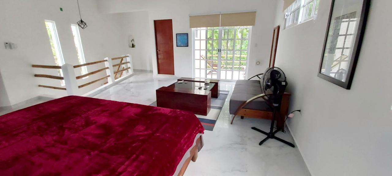 New! Casa Xola Cenote And Fauna Loft Cozumel Buitenkant foto