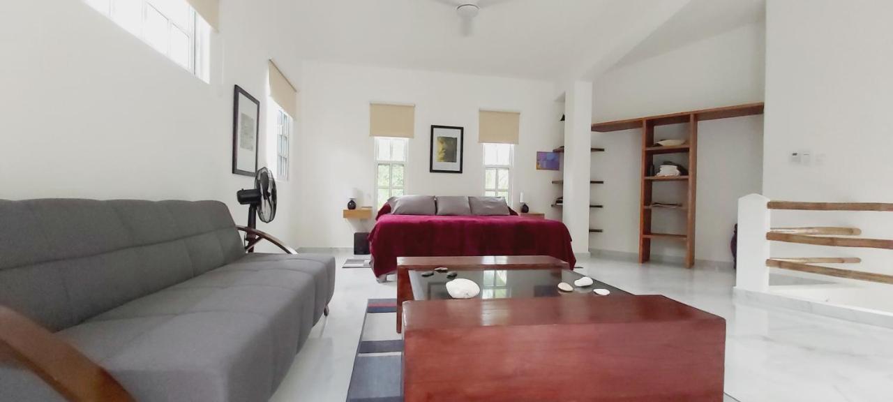 New! Casa Xola Cenote And Fauna Loft Cozumel Buitenkant foto