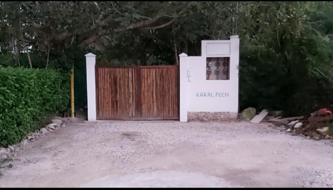 New! Casa Xola Cenote And Fauna Loft Cozumel Buitenkant foto